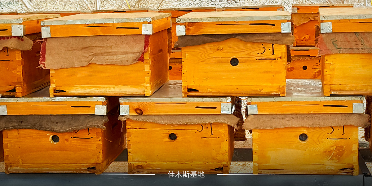 佳木斯基地